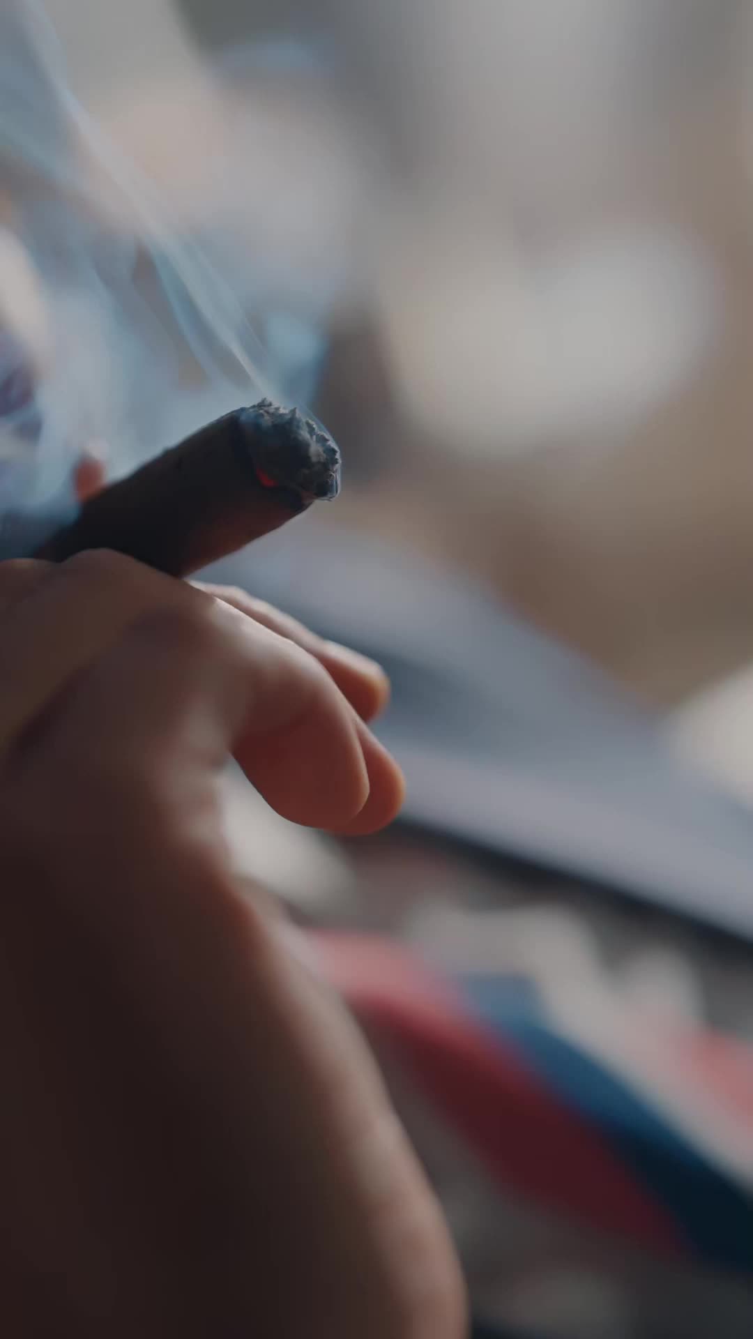 Episode 1 - My Butler Is a Double Master's Genius